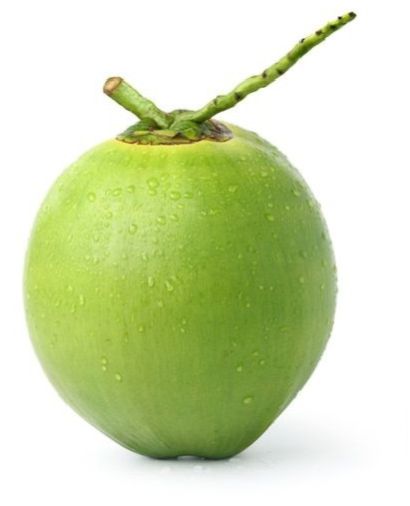 Green Tender Coconut