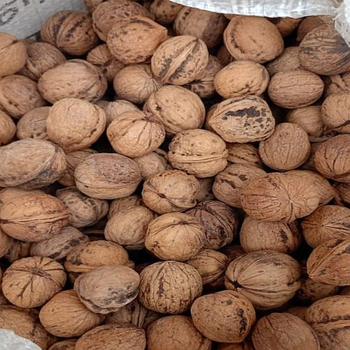 Kashmiri Shell Walnuts
