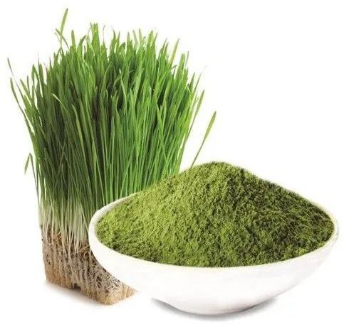 Organic Barley Grass Powder