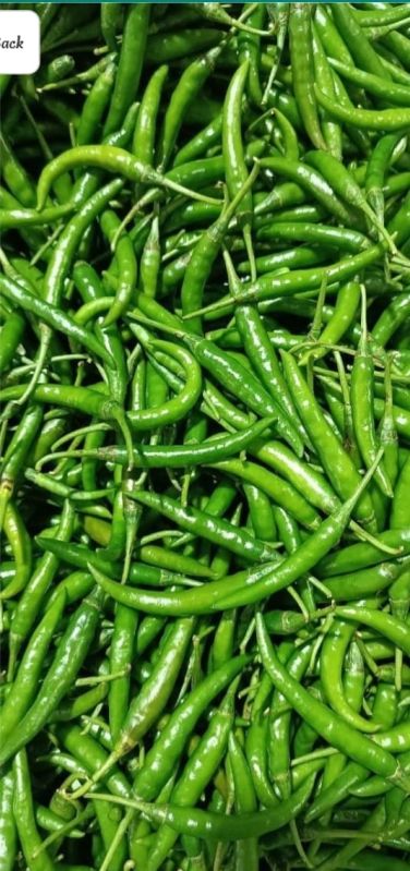 Green Chili