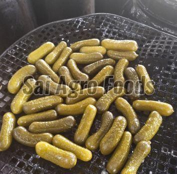Pickled Gherkins