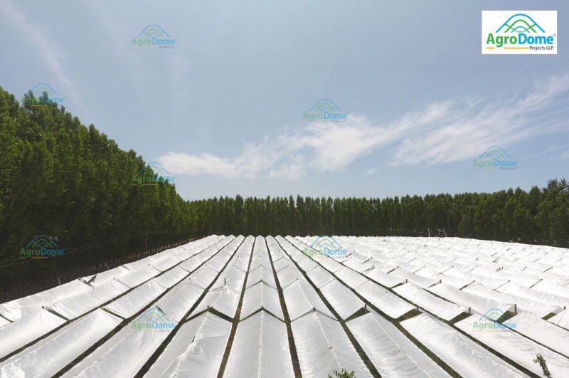 Cherry Orchard Structure for Rain Protection