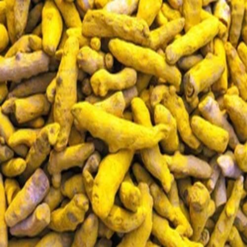 Raw Turmeric Finger