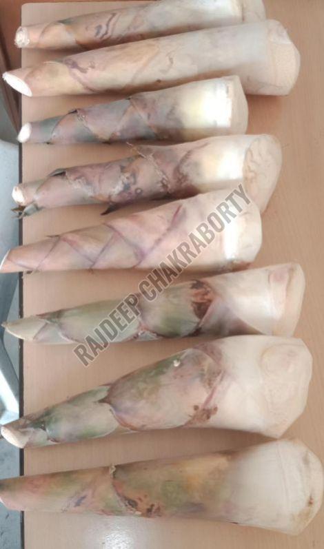 Bamboo Shoot