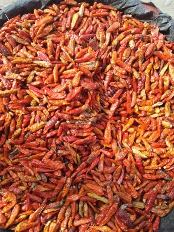Bird Eye Chilli