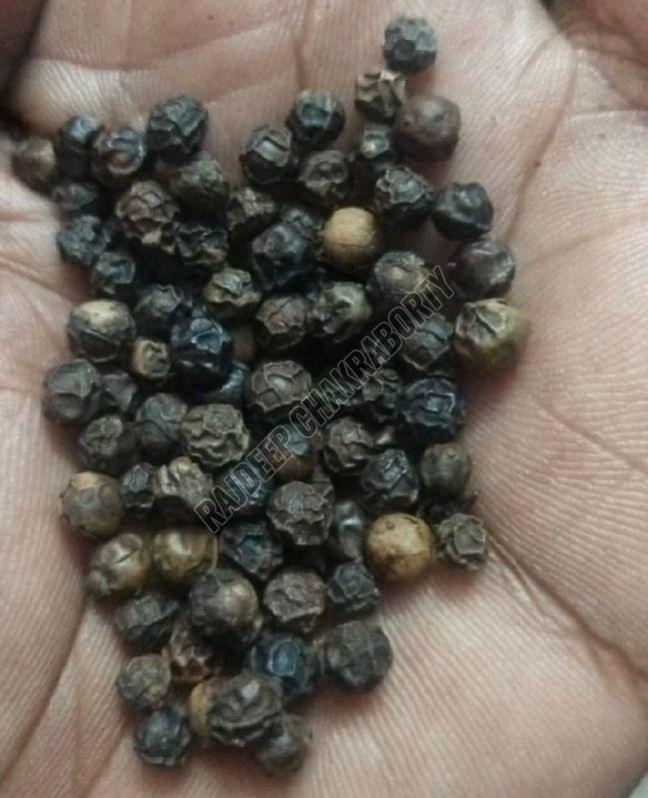 Black Pepper Seeds