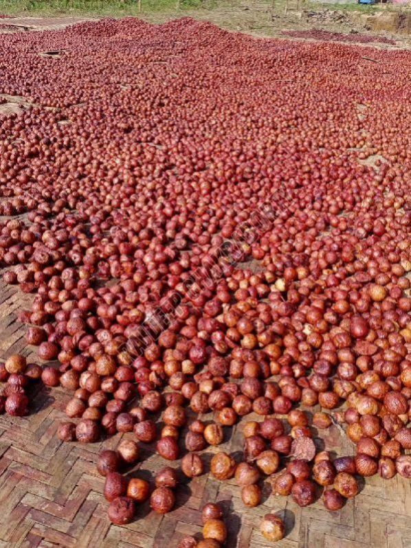 Boiled Betel Nuts
