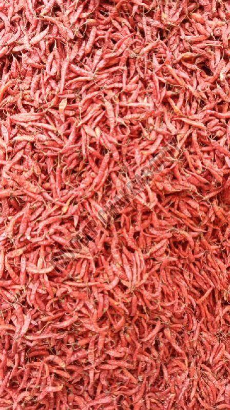 Dried Red Chilli