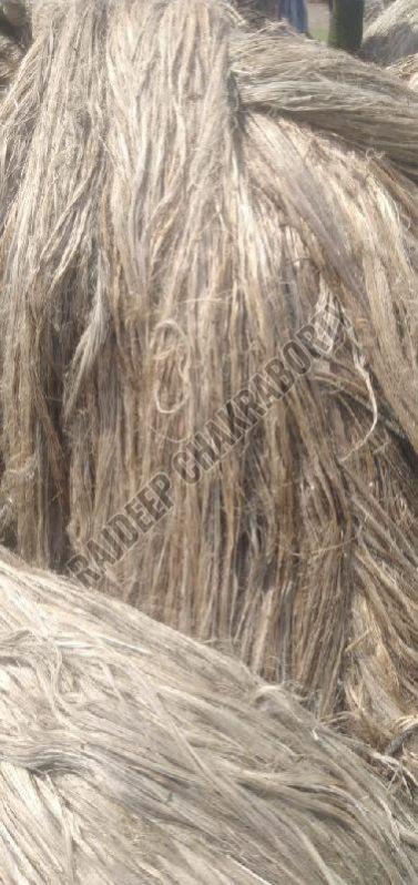 Raw Jute