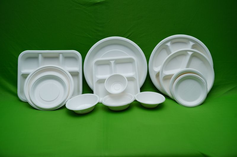 Bagasse Disposable Plate