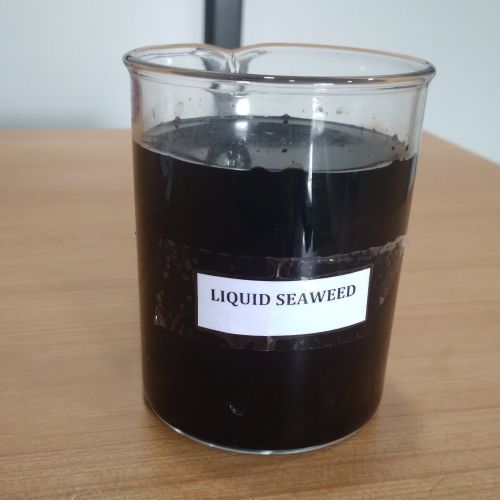 Liquid Seaweed Extract