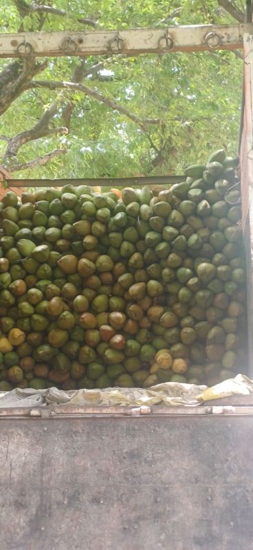 Tender Green Coconut