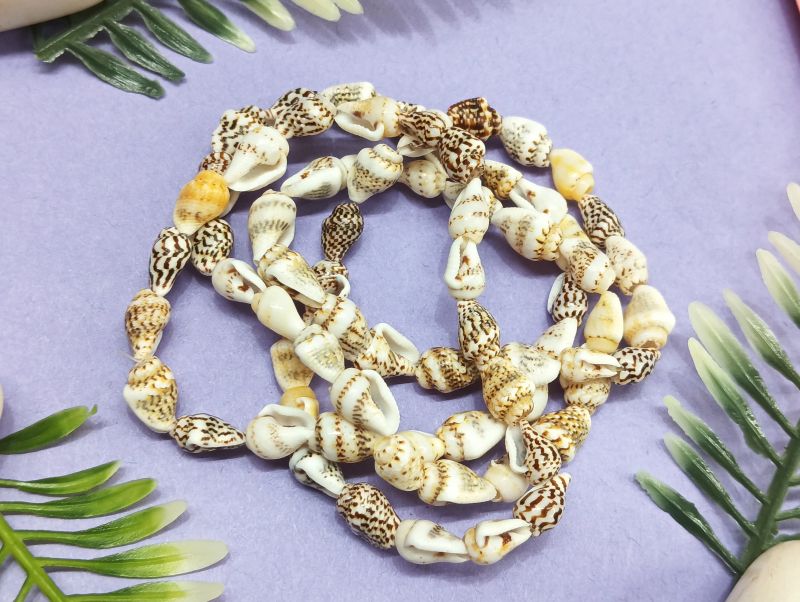 Vintage Cowrie Shell Necklace