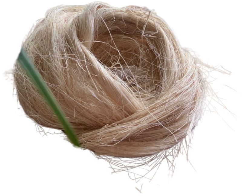 Banana Fiber