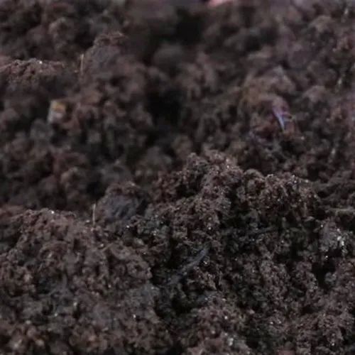 Vermicompost