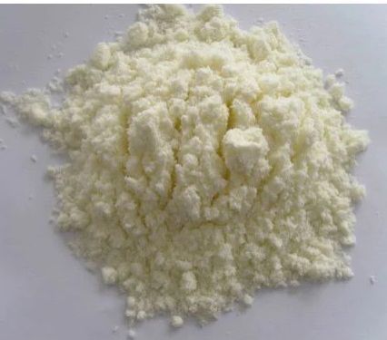 Lactose Powder