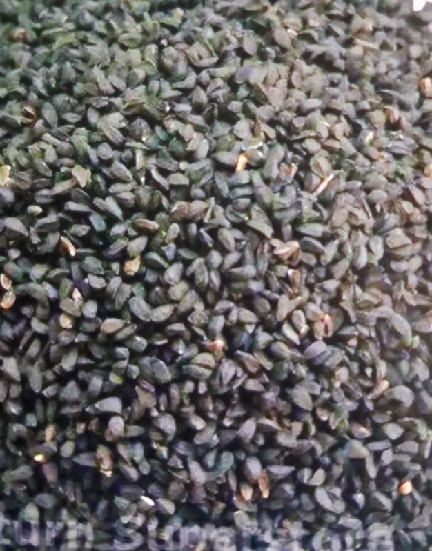 Black Sesame Seeds