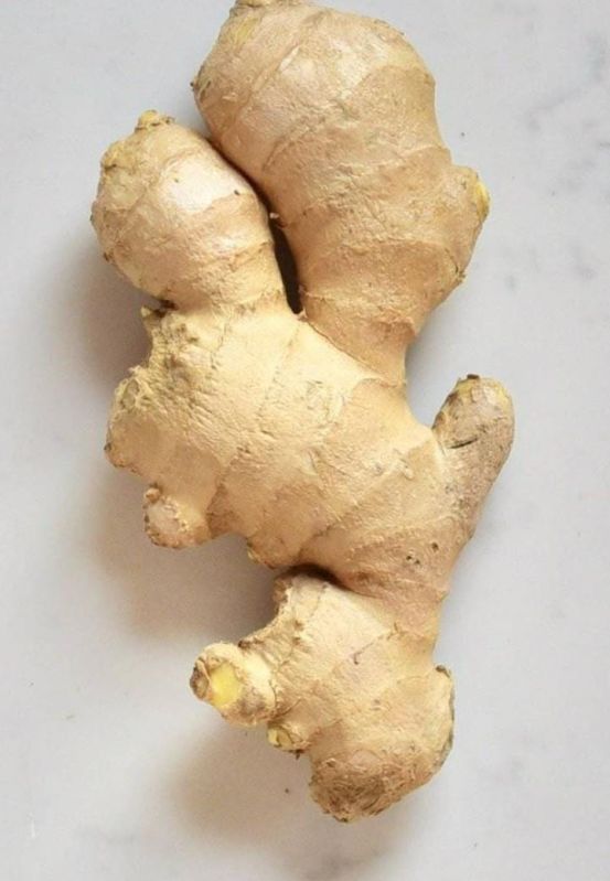 Ginger