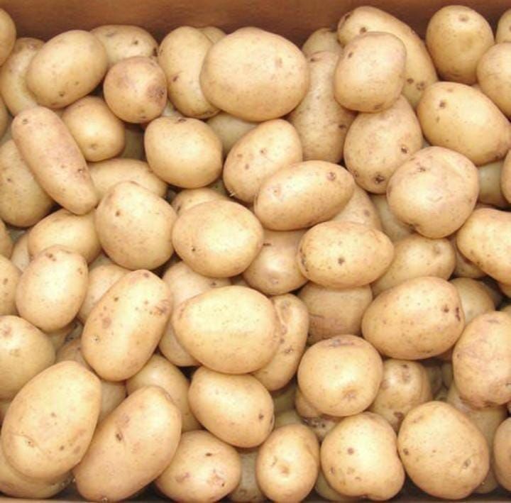 Potato