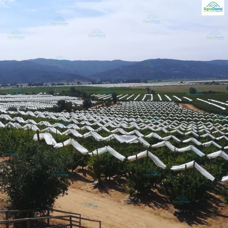 Anti Hail Shade Net House for Apple Orchards