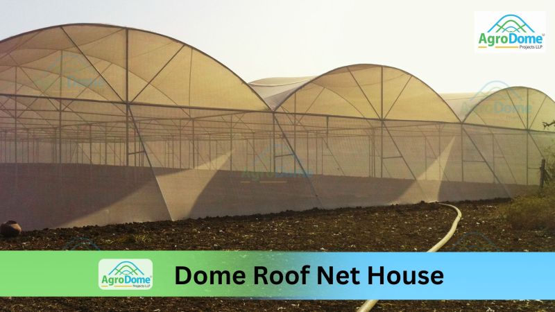 Dome Roof Poly Net House