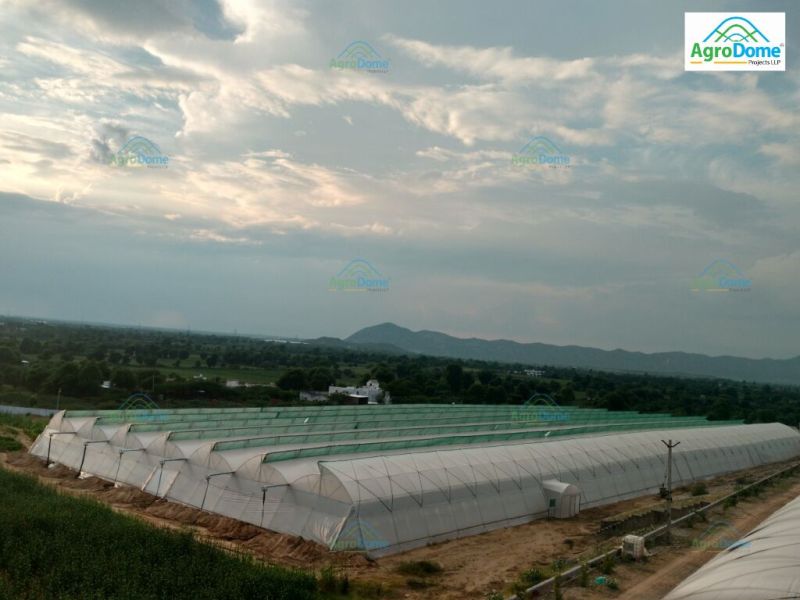 Greenhouse & Poly Tunnel Solutions