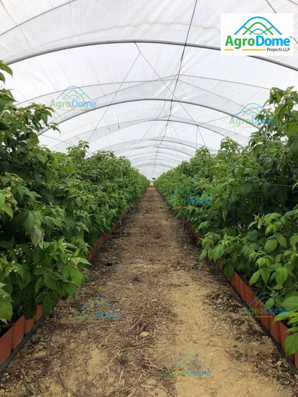 Agriculture Polyhouse
