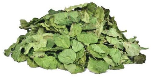 Dehydrated Drumstick Leaves