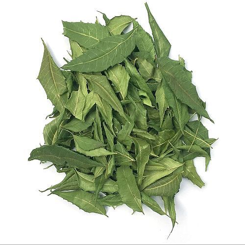 Dehydrated Neem Leaves