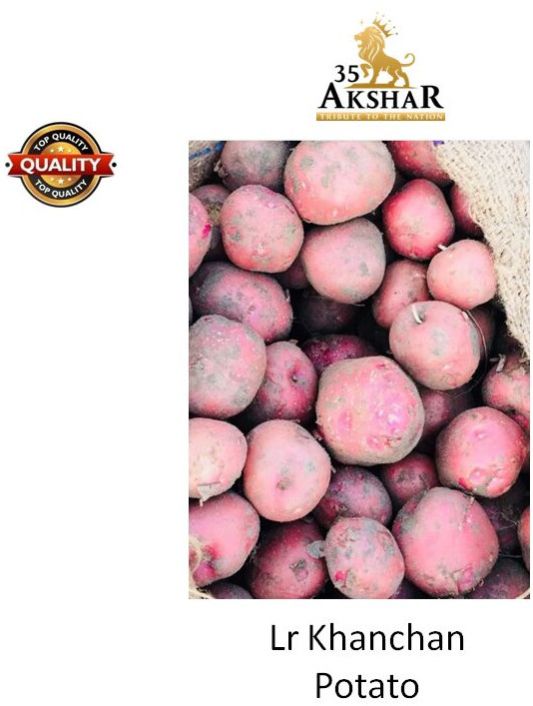 Potato