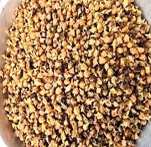 Dried Pedalium Murex