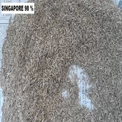 Thakorji Singapore Quality Cumin Seeds