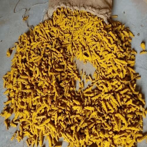 Thakorji Turmeric Finger