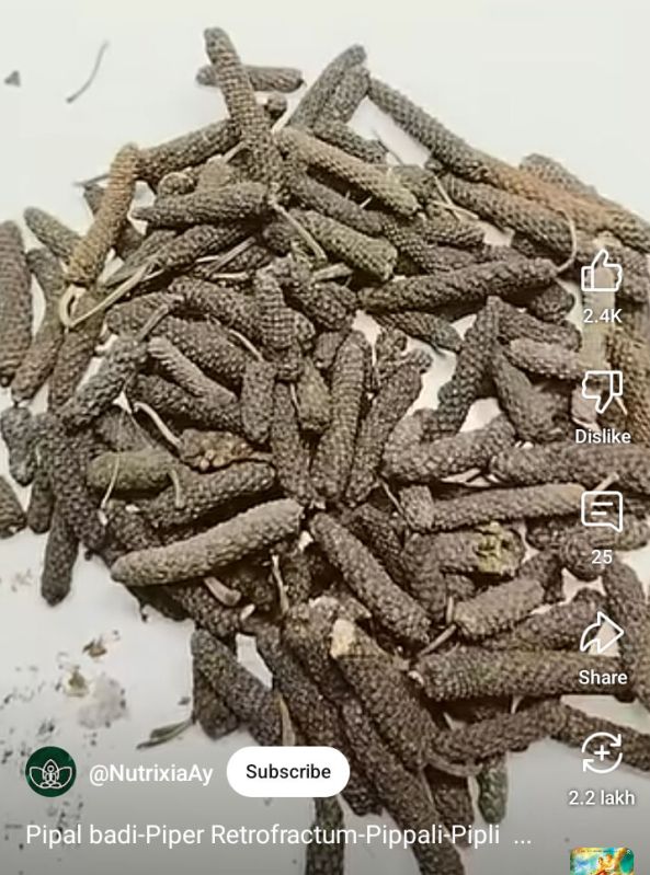 Long Pepper