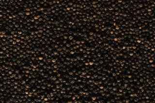 Black Pepper