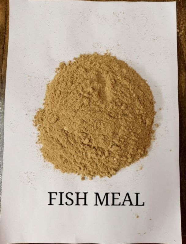 Sun Dry Fish Meal Granular