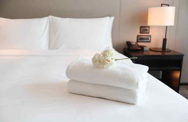 300 GSM My Trident Microfiber Duvet
