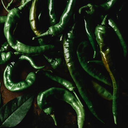 Fresh Green Chilli