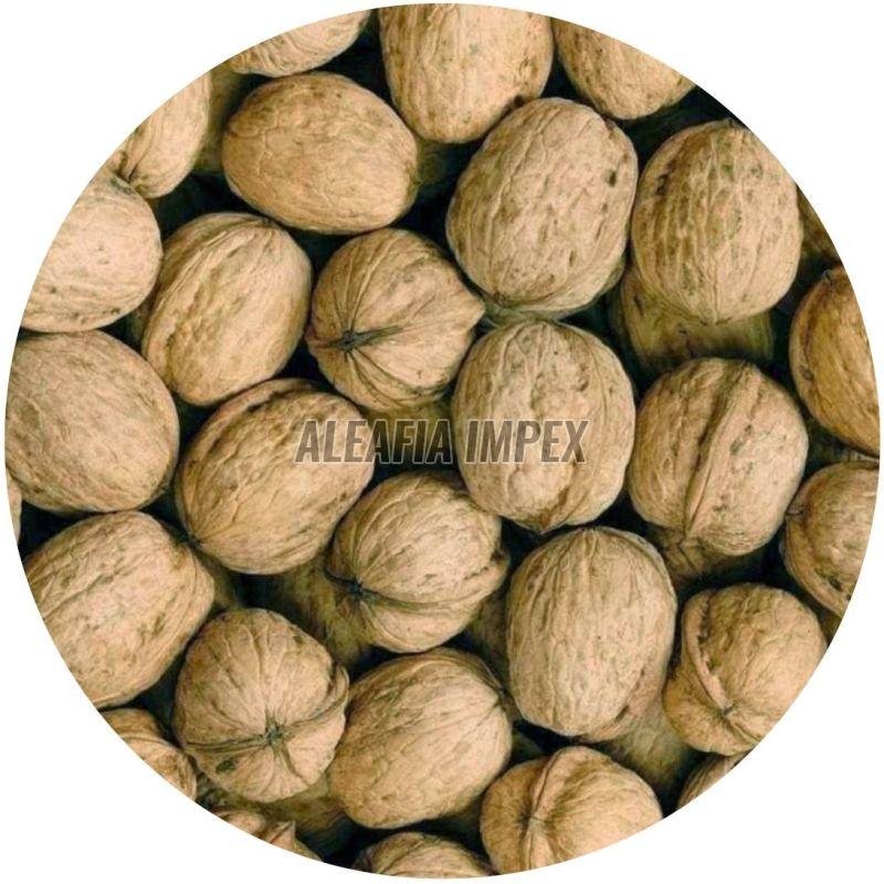 Chile Walnut With Shell