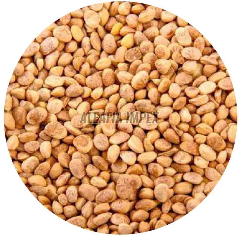 Chironji Seeds