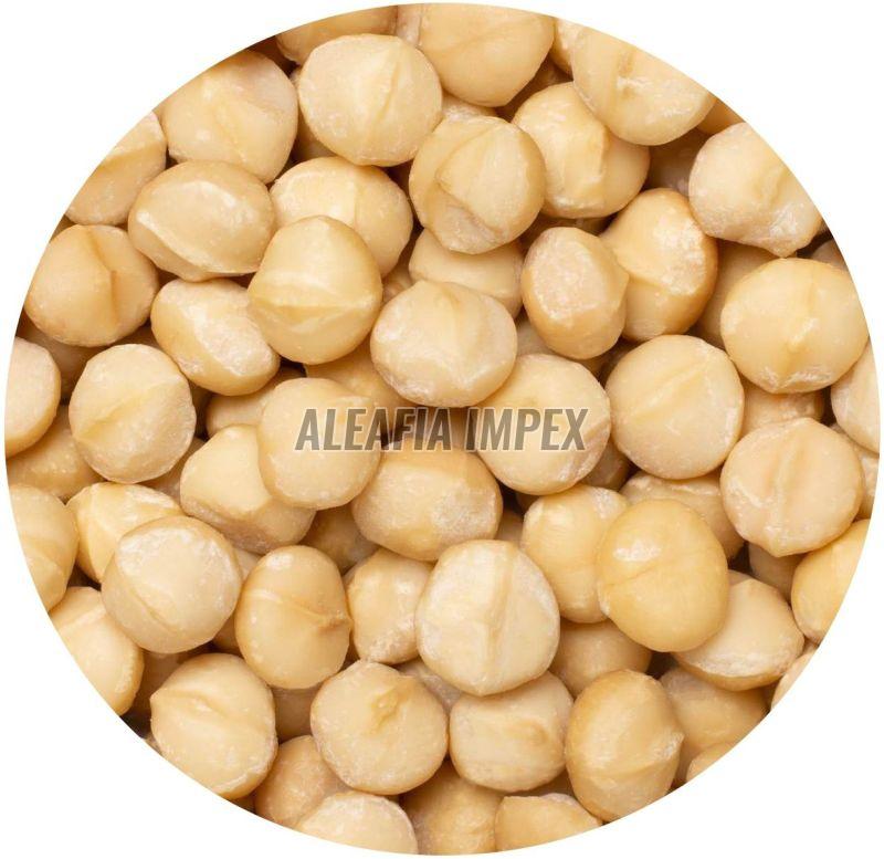 Macadamia Nuts