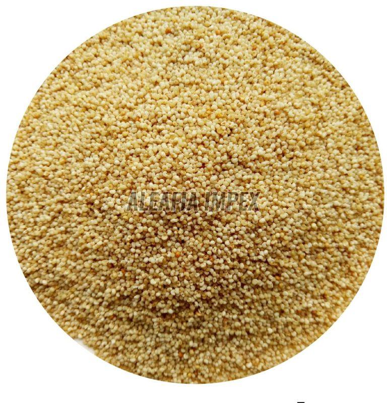 Poppy Seeds