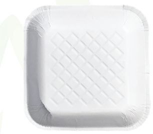 5-5 Square Disposable Tray
