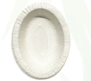 Oval Disposable Tray