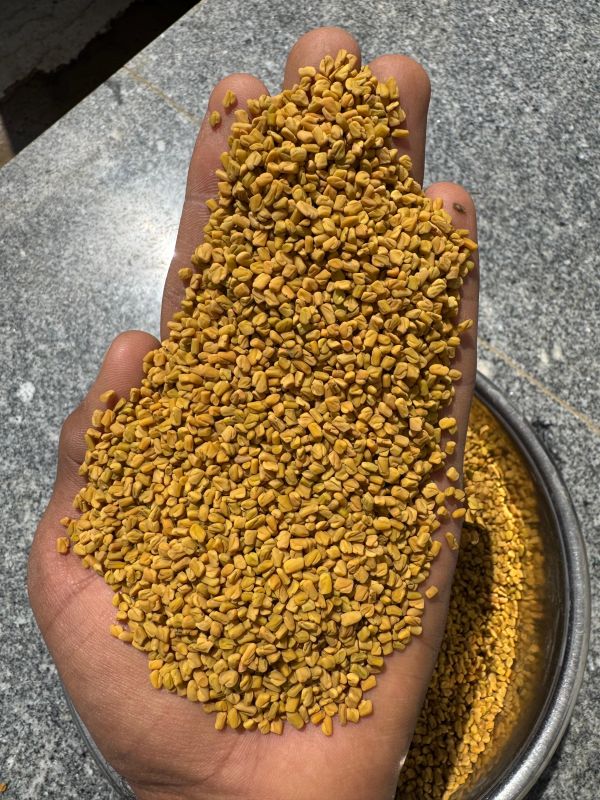 Yellow Fenugreek Seeds