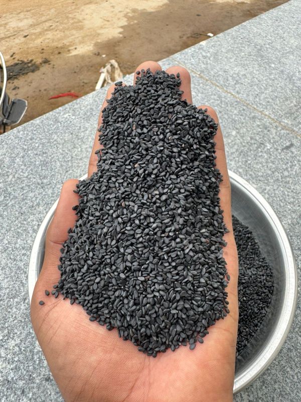Natural Black Sesame Seeds
