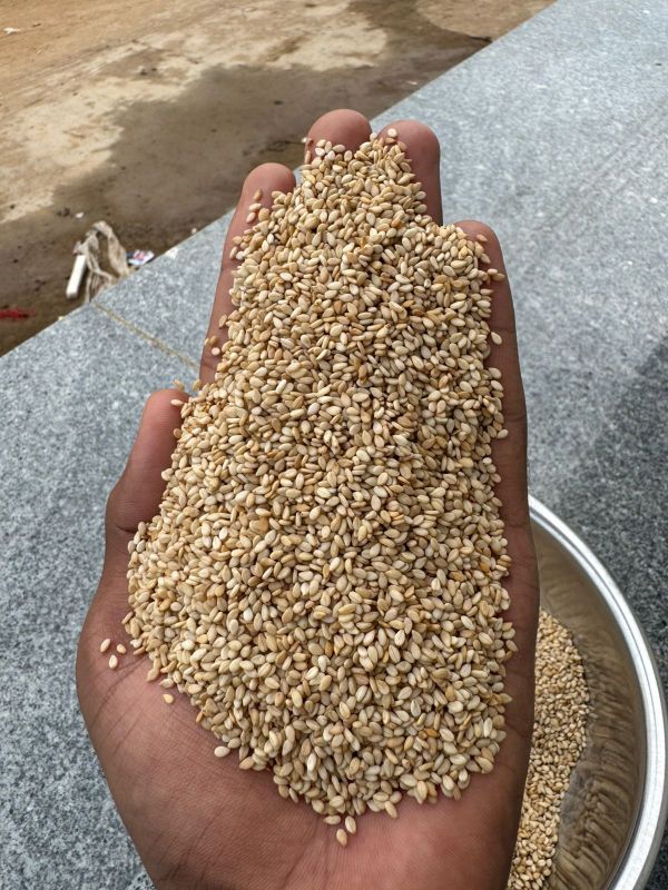Premium Quality Sesame Seeds