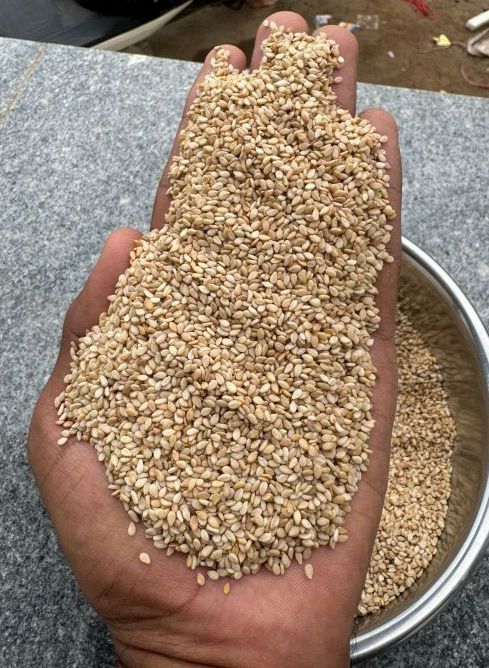 Sesame Seeds