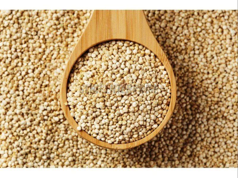 Organic White Quinoa Seeds