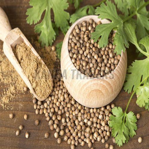 Coriander Seeds